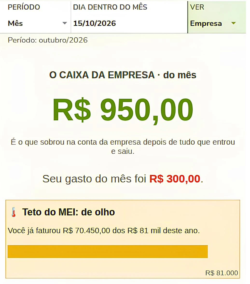 Relatório da planilha com o filtro Empresa.