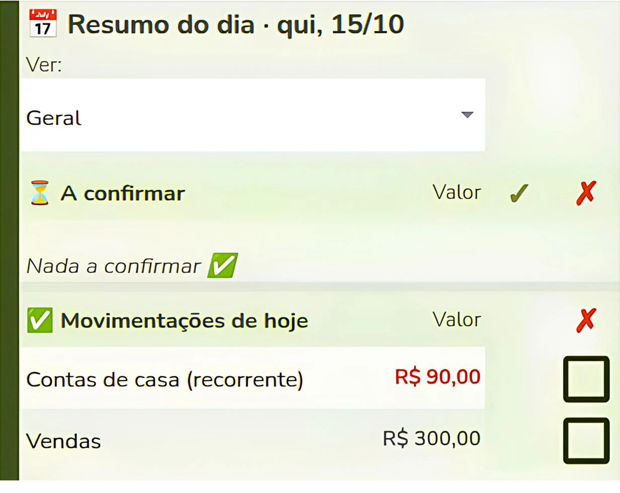 Resumo do dia da planilha Minha Finança.